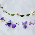 メニュー
