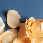 アクセス