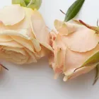 当サロンの特徴